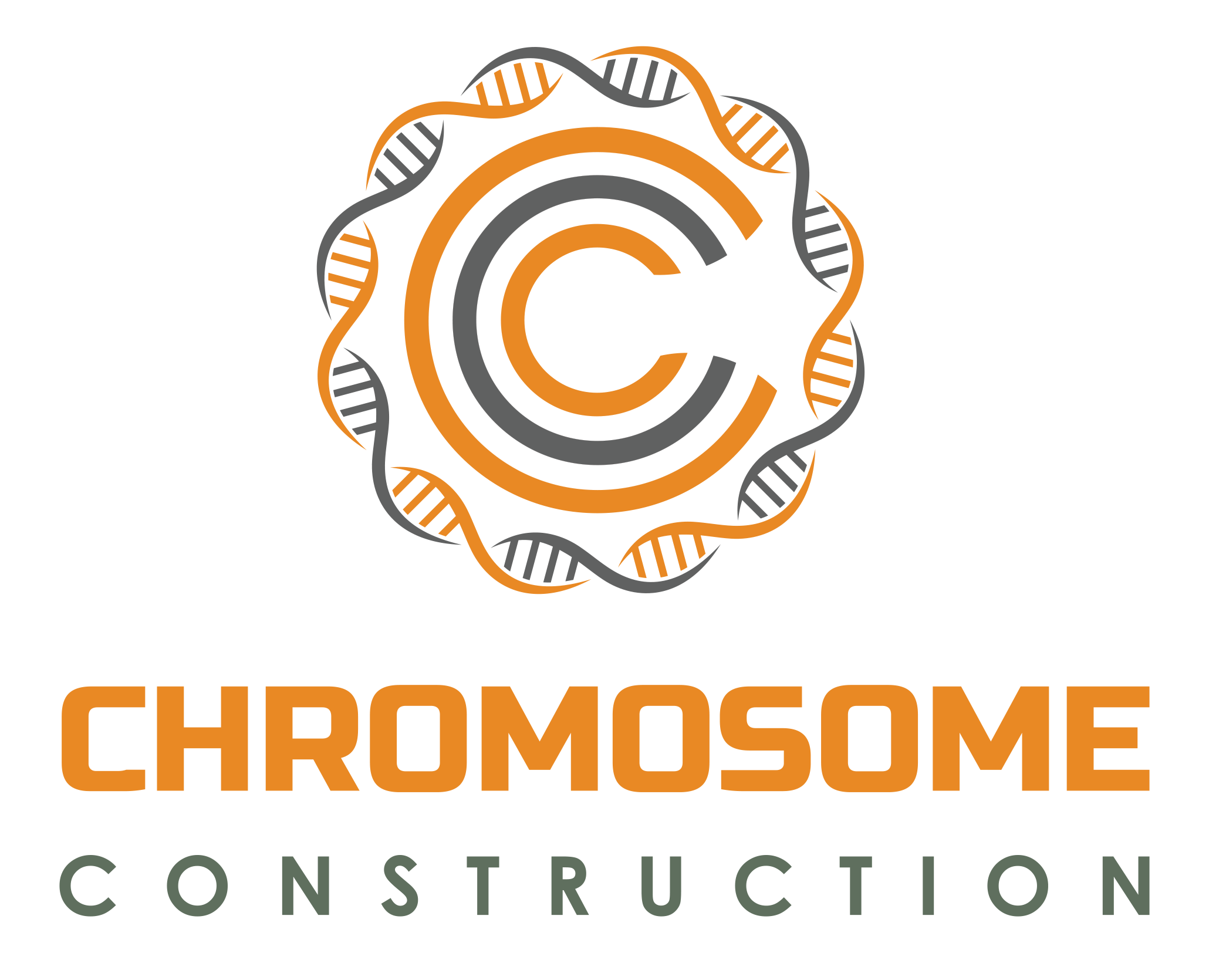 Chromosome Construction